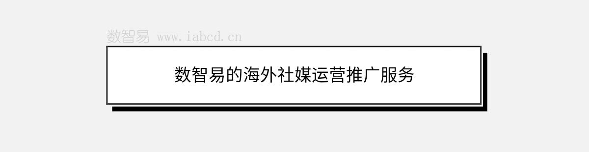 數(shù)智易的海外社媒運營推廣服務(wù)