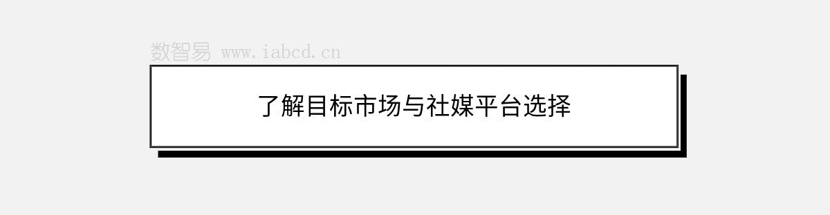 了解目標(biāo)市場(chǎng)與社媒平臺(tái)選擇