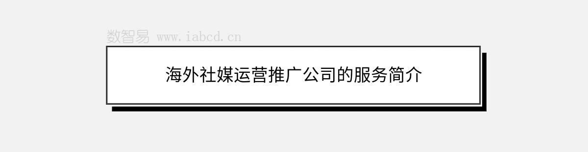 海外社媒運(yùn)營推廣公司的服務(wù)簡介