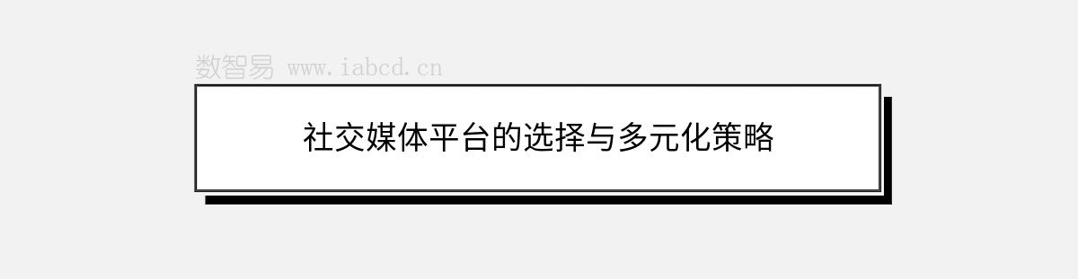 社交媒體平臺(tái)的選擇與多元化策略