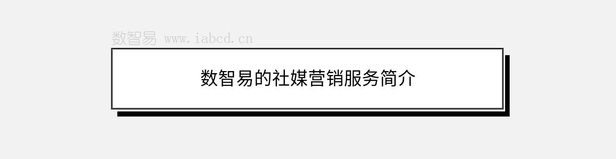 數(shù)智易的社媒營(yíng)銷(xiāo)服務(wù)簡(jiǎn)介