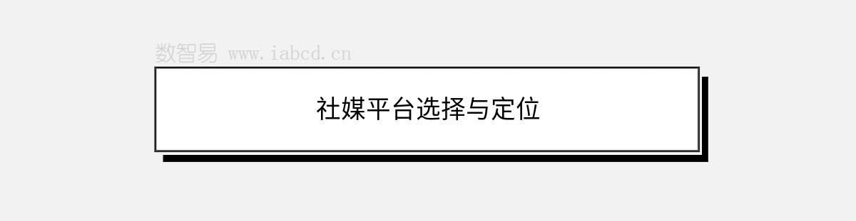 社媒平臺(tái)選擇與定位