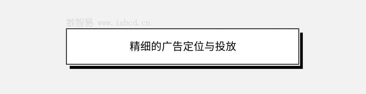 精細(xì)的廣告定位與投放