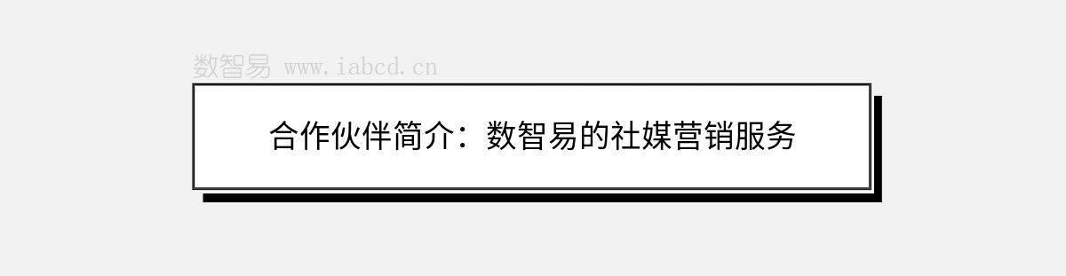 合作伙伴簡(jiǎn)介：數(shù)智易的社媒營(yíng)銷(xiāo)服務(wù)