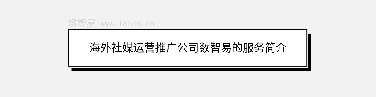 海外社媒運(yùn)營(yíng)推廣公司數(shù)智易的服務(wù)簡(jiǎn)介