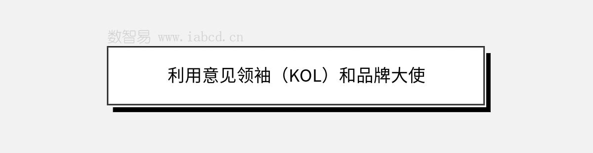 利用意見領(lǐng)袖（KOL）和品牌大使