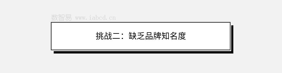 挑戰(zhàn)二：缺乏品牌知名度
